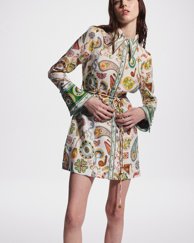 Aimeé Uzun Kollu Paisley Mini Elbise